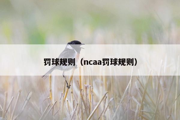 罚球规则（ncaa罚球规则）