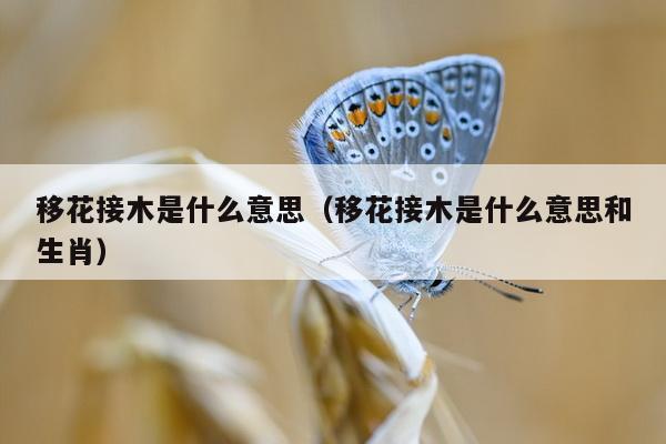 移花接木是什么意思（移花接木是什么意思和生肖）