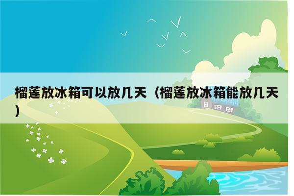 榴莲放冰箱可以放几天（榴莲放冰箱能放几天）