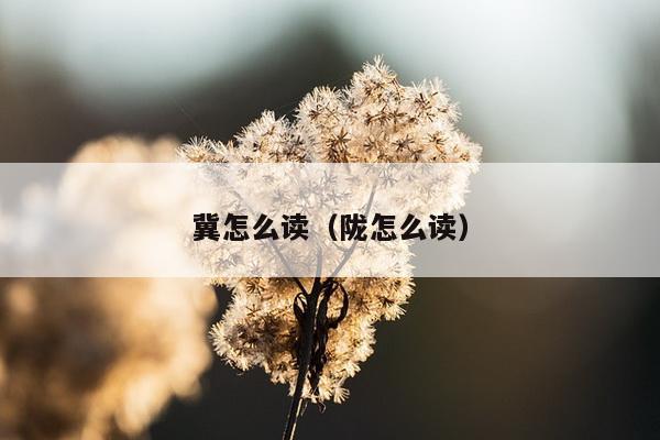 冀怎么读（陇怎么读）