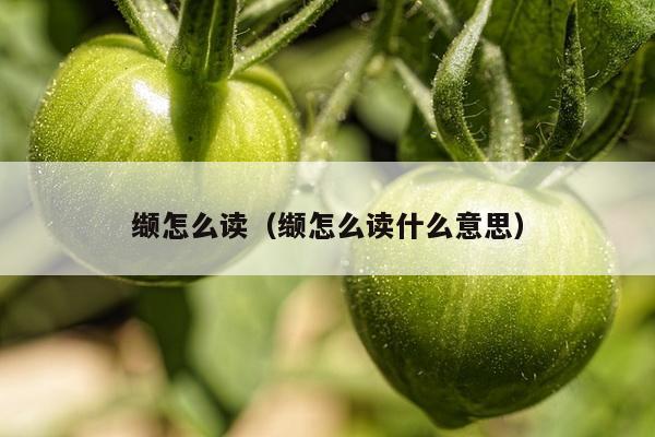 缬怎么读（缬怎么读什么意思）