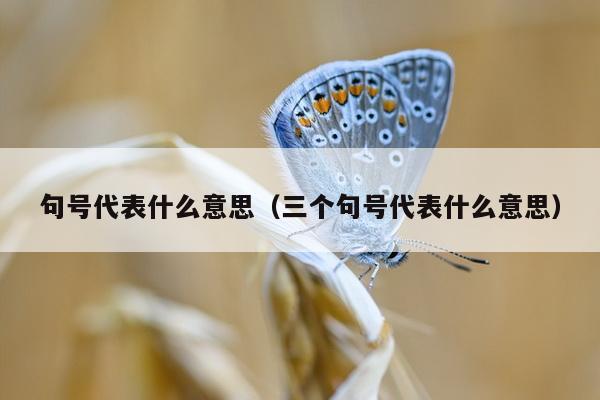 句号代表什么意思（三个句号代表什么意思）