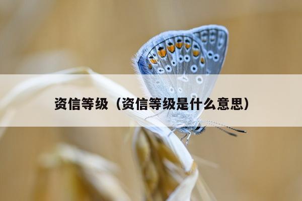 资信等级（资信等级是什么意思）