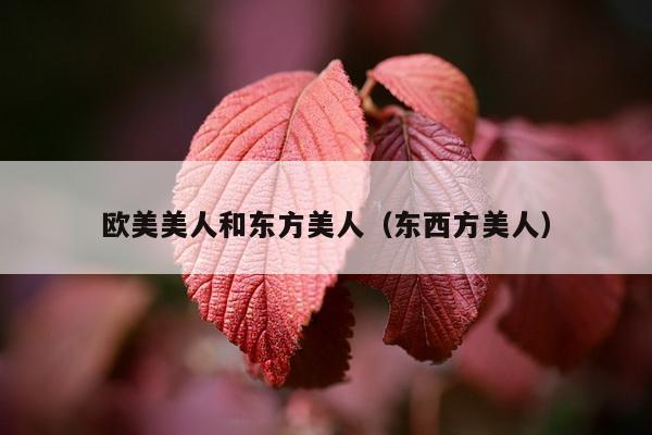 欧美美人和东方美人（东西方美人）