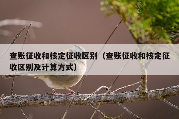 查账征收和核定征收区别（查账征收和核定征收区别及计算方式）