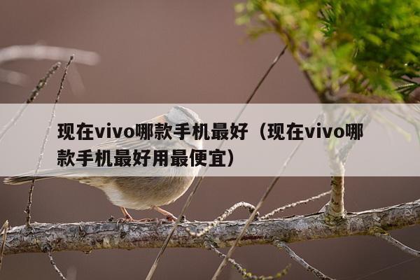 现在vivo哪款手机最好（现在vivo哪款手机最好用最便宜）