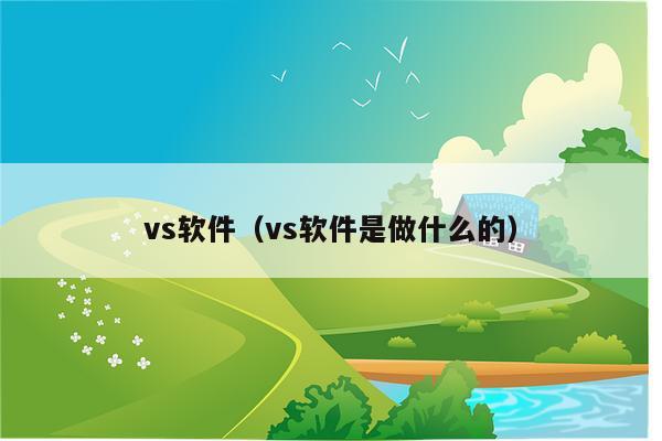 vs软件（vs软件是做什么的）