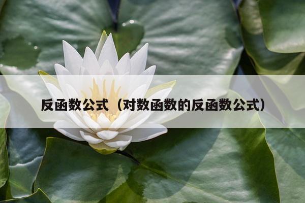 反函数公式（对数函数的反函数公式）