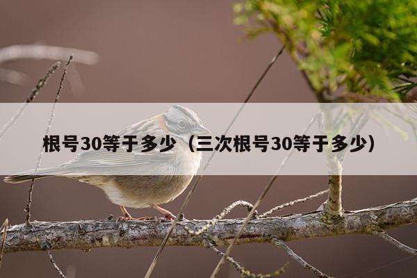 根号30等于多少（三次根号30等于多少）