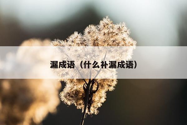 漏成语（什么补漏成语）