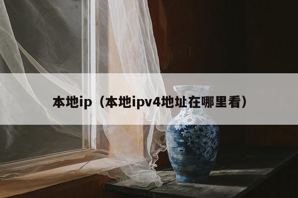 本地ip（本地ipv4地址在哪里看）