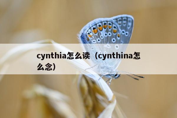 cynthia怎么读（cynthina怎么念）