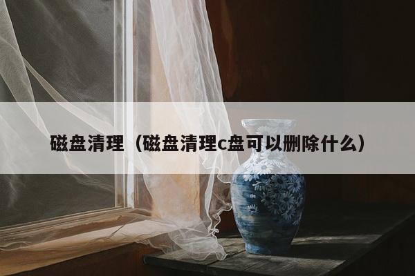 磁盘清理（磁盘清理c盘可以删除什么）