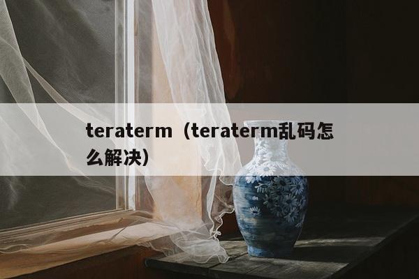 teraterm（teraterm乱码怎么解决）