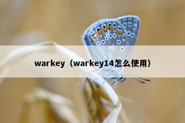 warkey（warkey14怎么使用）