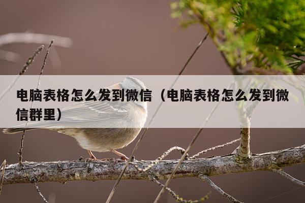 电脑表格怎么发到微信（电脑表格怎么发到微信群里）