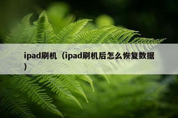 ipad刷机（ipad刷机后怎么恢复数据）