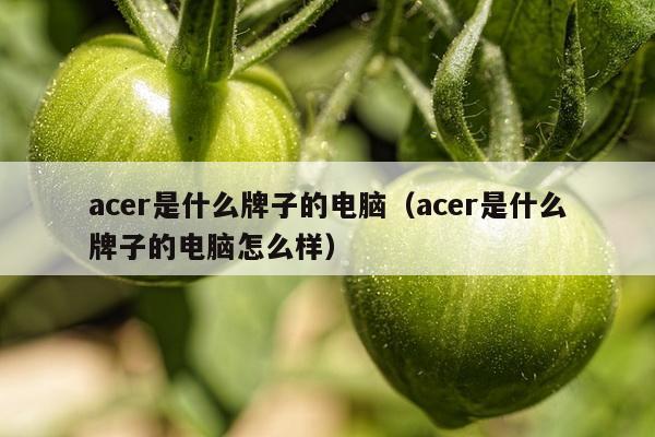 acer是什么牌子的电脑（acer是什么牌子的电脑怎么样）