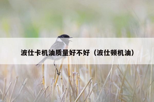 波仕卡机油质量好不好（波仕顿机油）