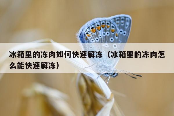 冰箱里的冻肉如何快速解冻（冰箱里的冻肉怎么能快速解冻）