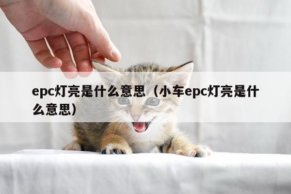 epc灯亮是什么意思（小车epc灯亮是什么意思）