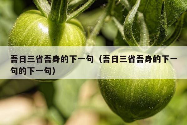 吾日三省吾身的下一句（吾日三省吾身的下一句的下一句）