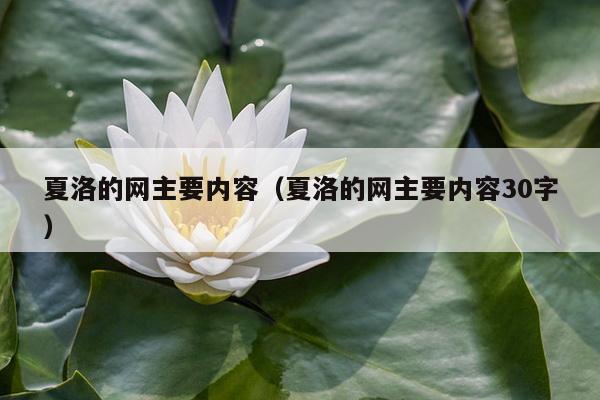 夏洛的网主要内容（夏洛的网主要内容30字）