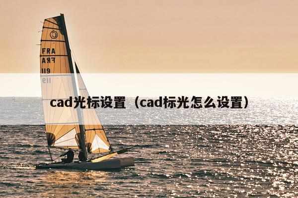 cad光标设置（cad标光怎么设置）