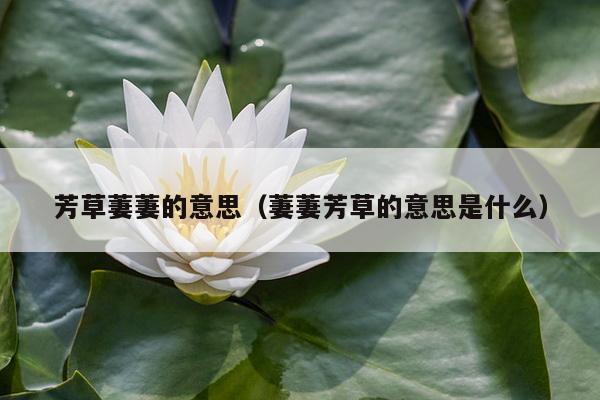 芳草萋萋的意思（萋萋芳草的意思是什么）