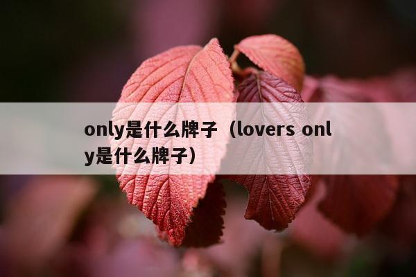 only是什么牌子（lovers only是什么牌子）