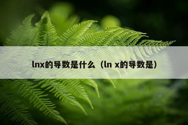 lnx的导数是什么（ln x的导数是）