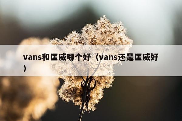 vans和匡威哪个好（vans还是匡威好）