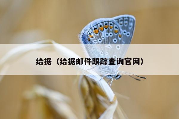 给据（给据邮件跟踪查询官网）