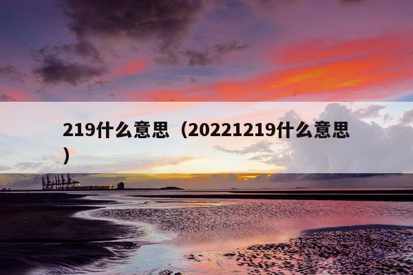 219什么意思（20221219什么意思）