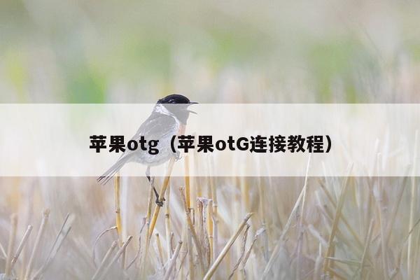 苹果otg（苹果otG连接教程）