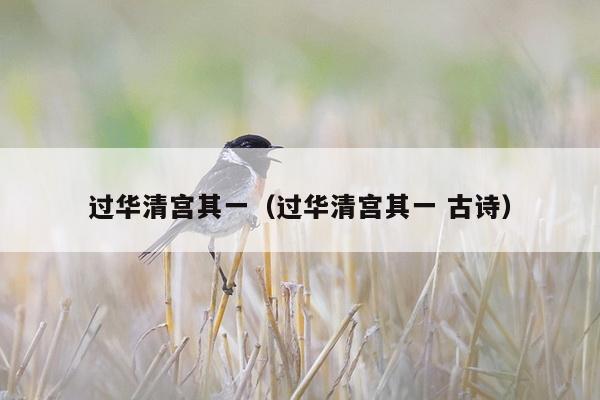 过华清宫其一（过华清宫其一 古诗）