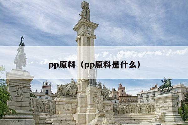 pp原料（pp原料是什么）