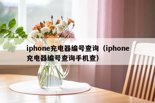 iphone充电器编号查询（iphone充电器编号查询手机查）