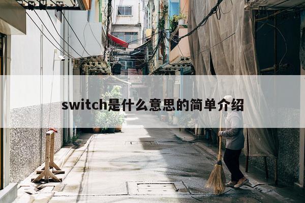 switch是什么意思的简单介绍