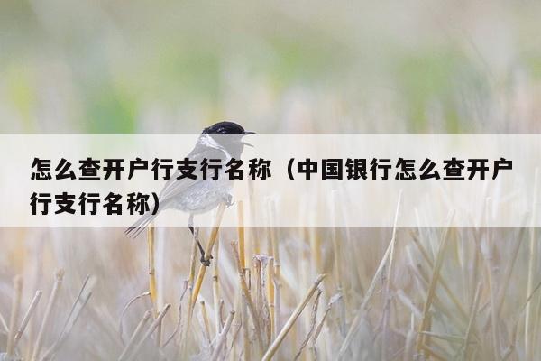 怎么查开户行支行名称（中国银行怎么查开户行支行名称）