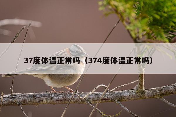 37度体温正常吗（374度体温正常吗）