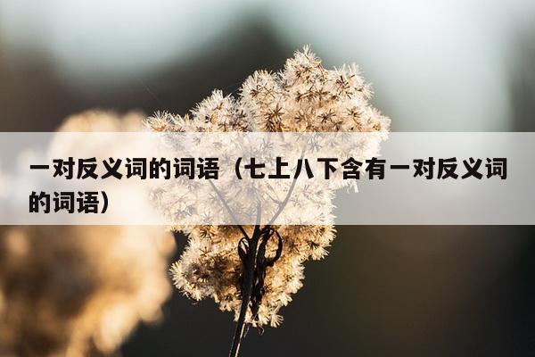 一对反义词的词语（七上八下含有一对反义词的词语）