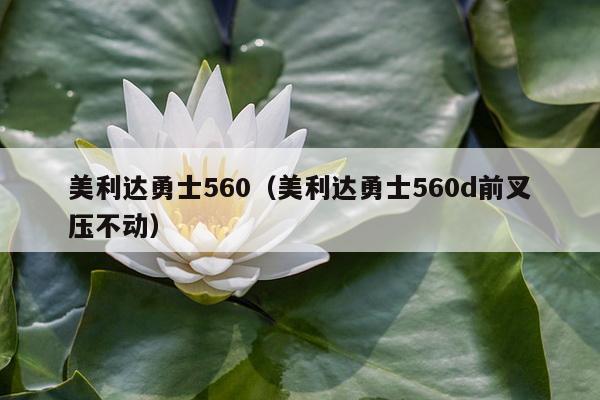 美利达勇士560（美利达勇士560d前叉压不动）