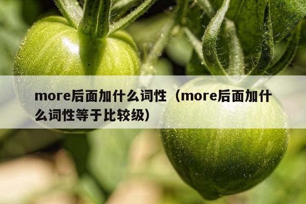 more后面加什么词性（more后面加什么词性等于比较级）