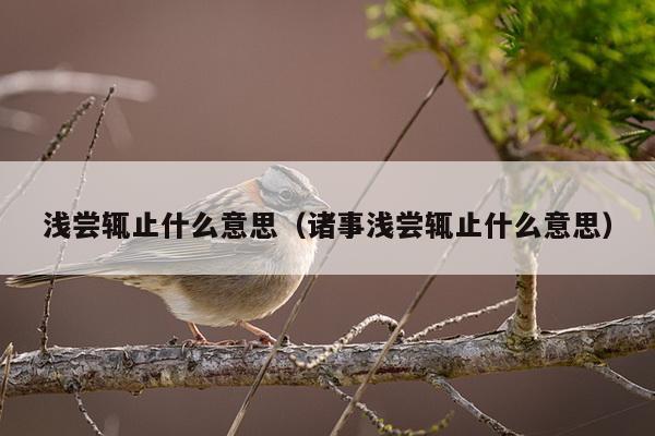 浅尝辄止什么意思（诸事浅尝辄止什么意思）