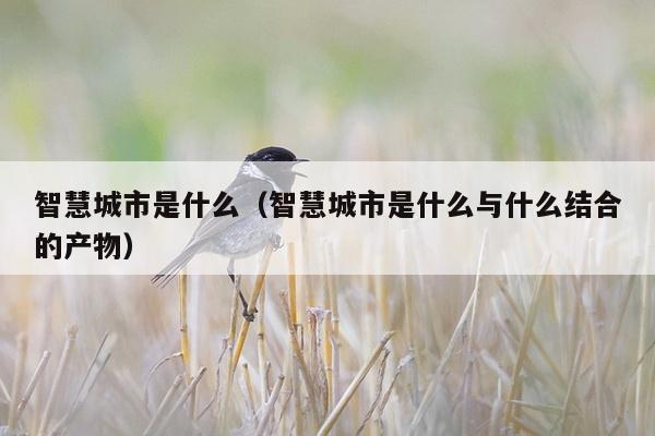 智慧城市是什么（智慧城市是什么与什么结合的产物）