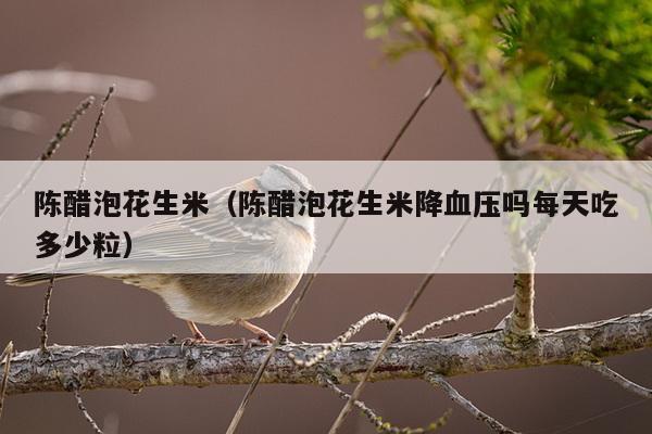 陈醋泡花生米（陈醋泡花生米降血压吗每天吃多少粒）