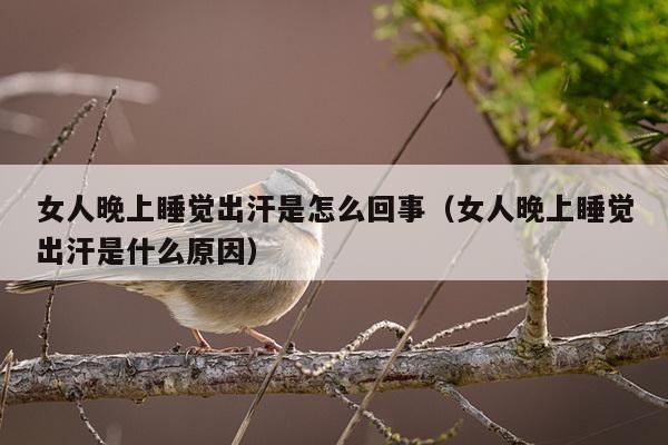 女人晚上睡觉出汗是怎么回事（女人晚上睡觉出汗是什么原因）