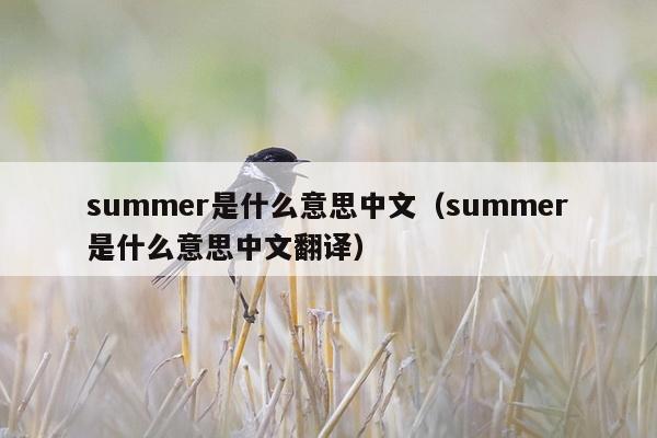 summer是什么意思中文（summer是什么意思中文翻译）