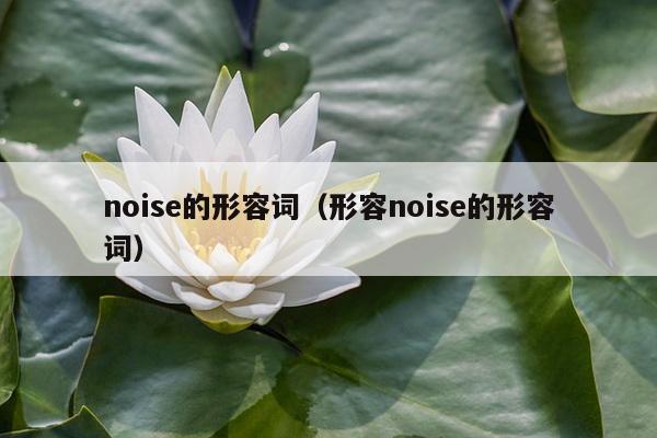 noise的形容词（形容noise的形容词）